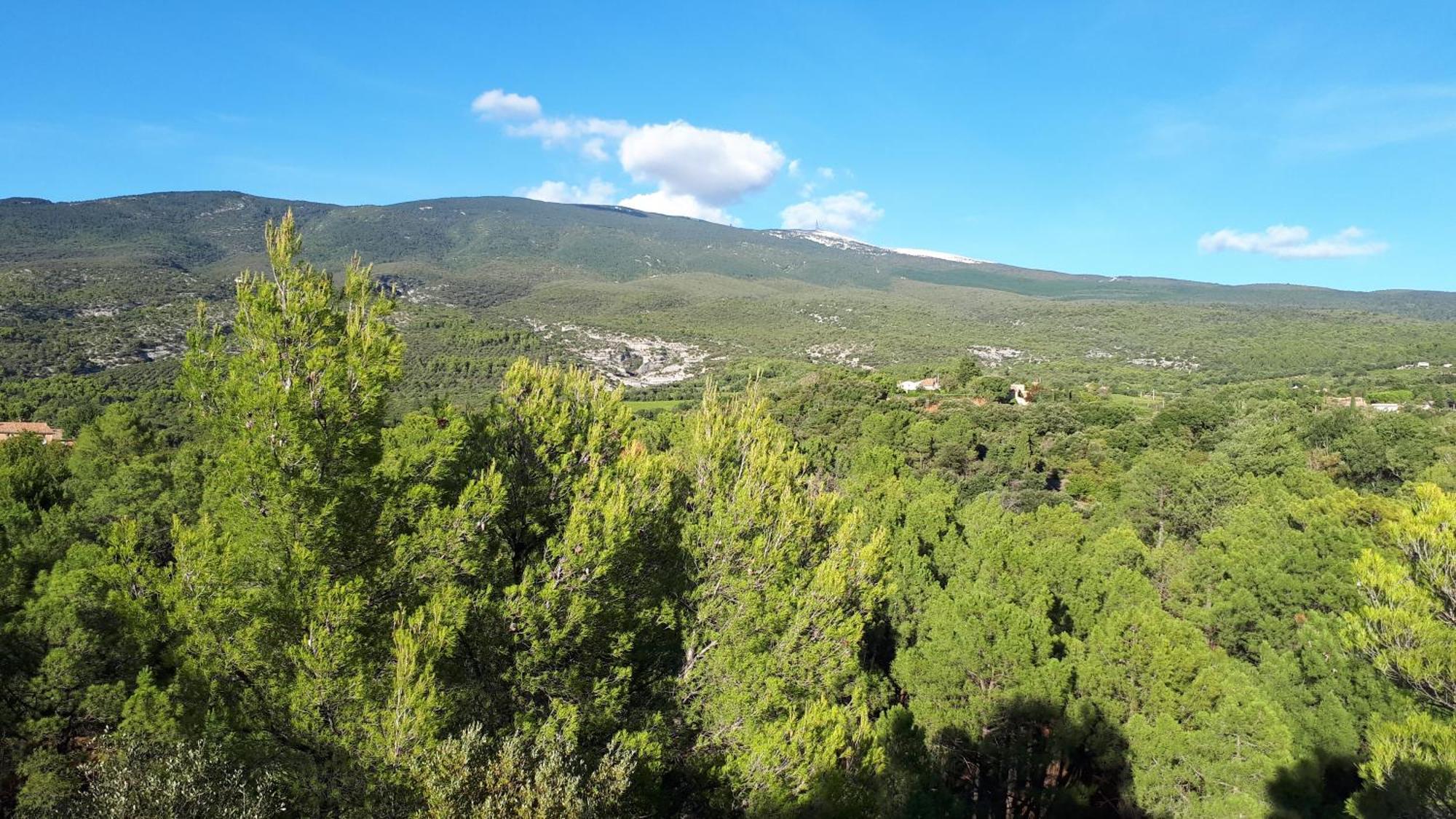 La Carriera, petite maison sud Ventoux, au charme Provençal Bédoin Exterior foto